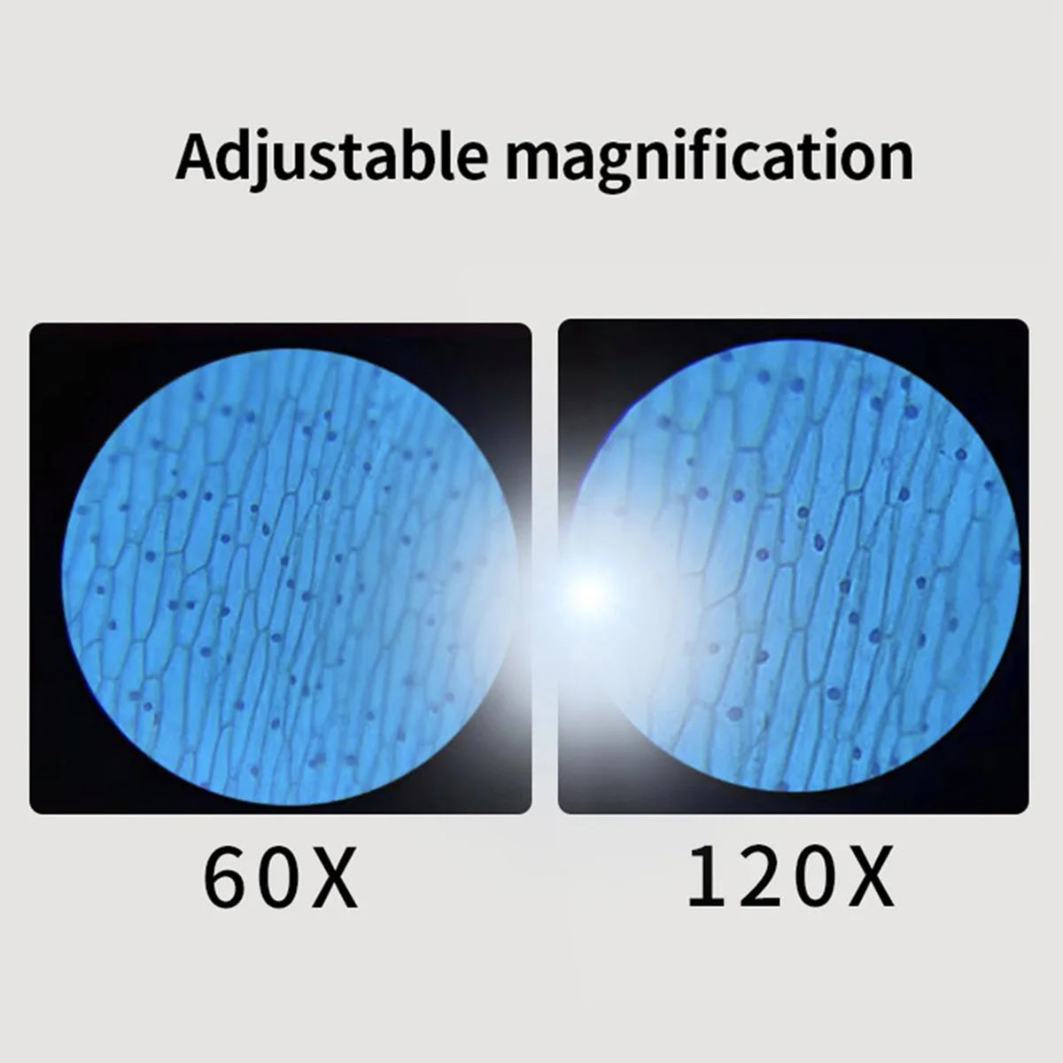 Portable Microscope