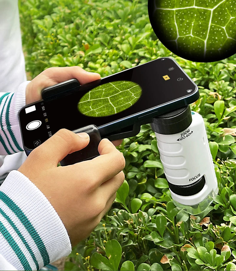 Portable Microscope